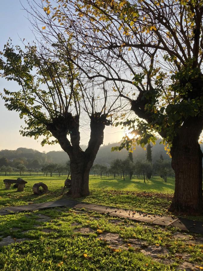 Agriturismo San Michele 비첸차 외부 사진