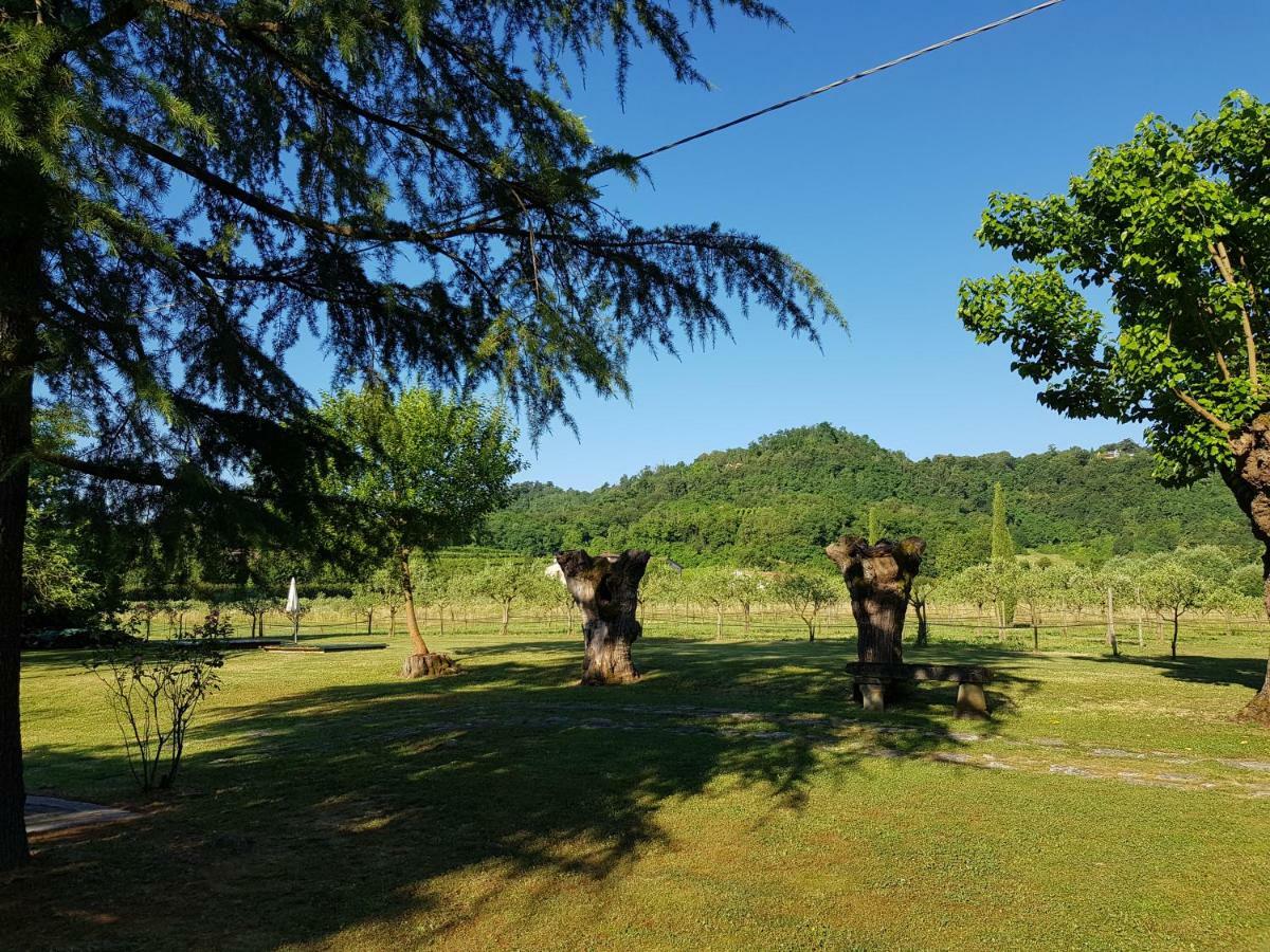 Agriturismo San Michele 비첸차 외부 사진